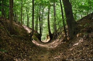 The Sunken Trace at milepost 41.5