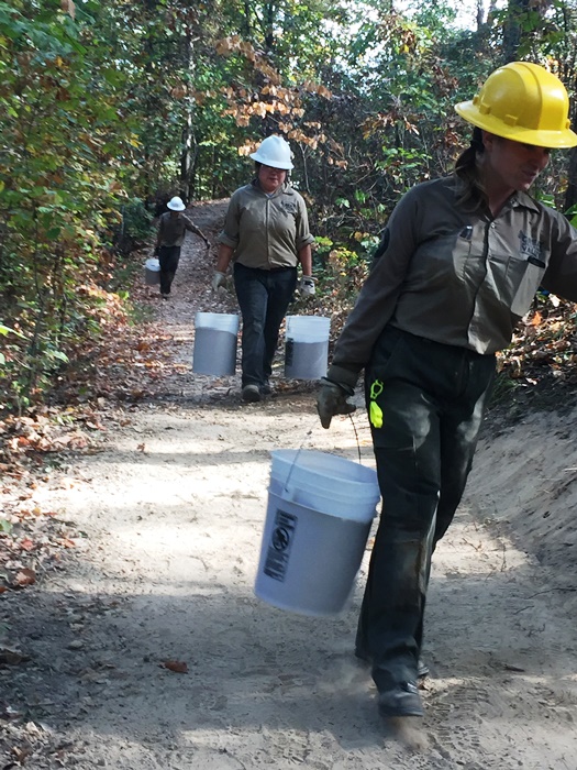 Crew members haul dirt to fill box steps.