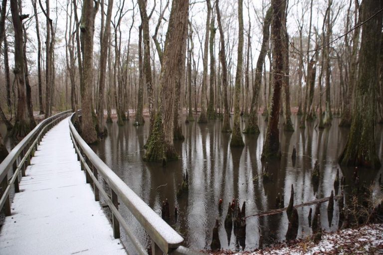 What's To Love About Winter On The Natchez Trace Parkway - Natchez ...