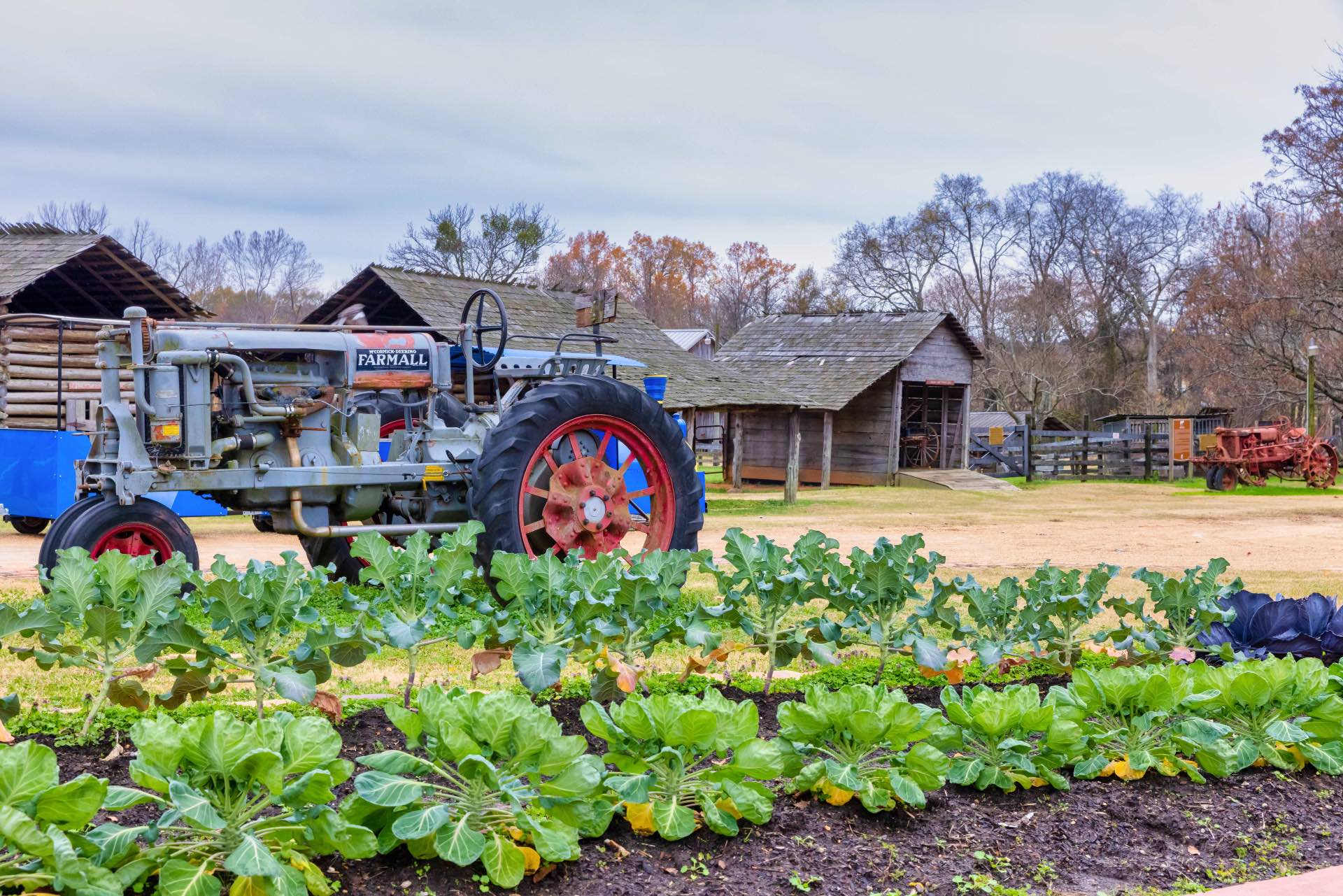 Tractor, buildings and plantings