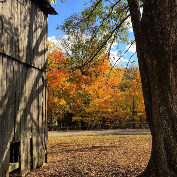 Tobacco Farm and Old Trace Drive, milepost 401.4