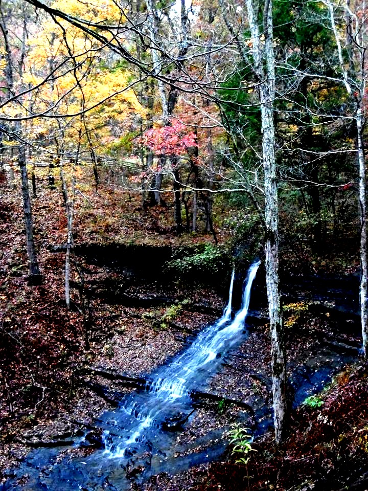Natchez Trace Parkway