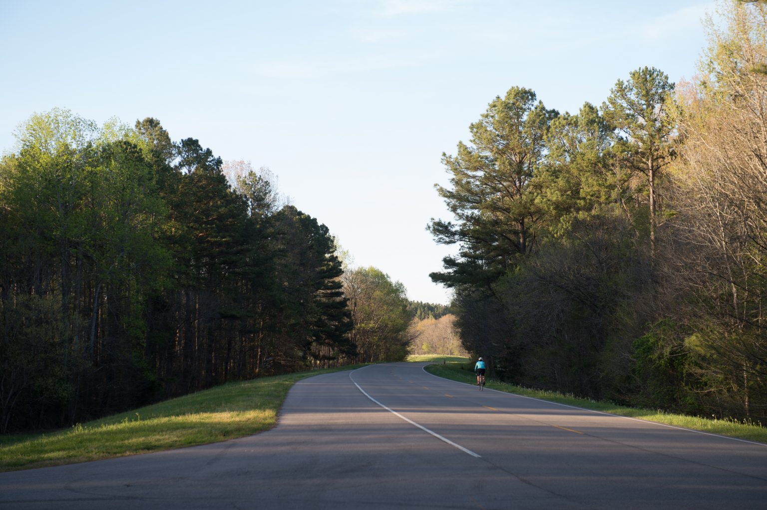 natchez trace 444 bike race 2020