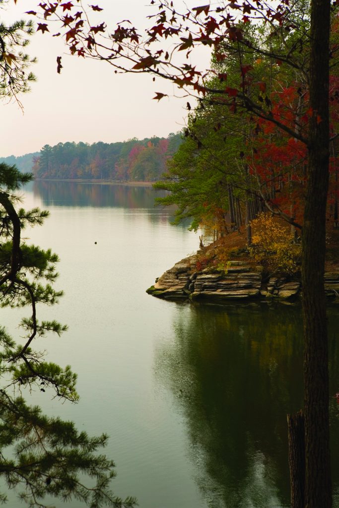 Natchez Trace Parkway Coleman Lake