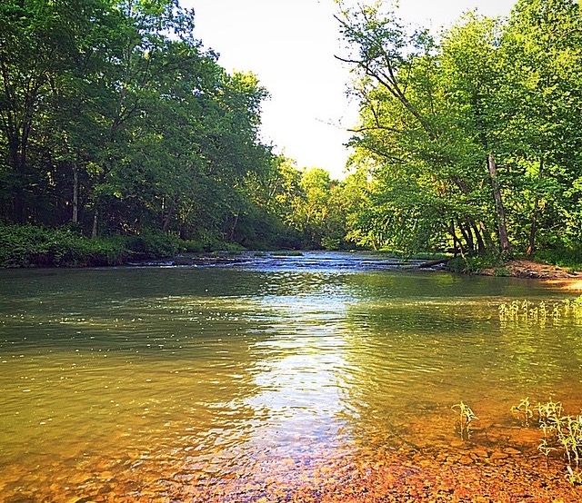 Natchez Trace Parkway Buffalo River