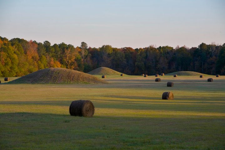 Natchez Trace Parkway Pharr Mounds