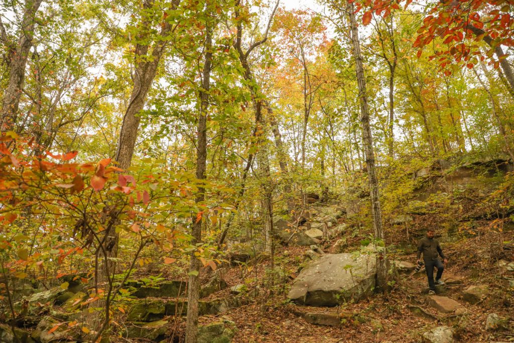 Natchez Trace Parkway Tishomingo