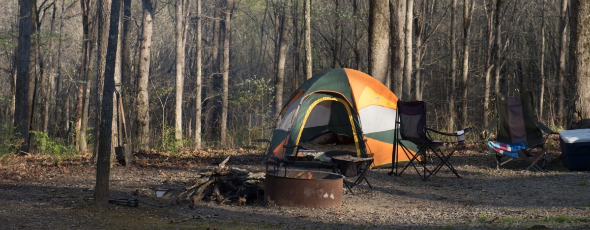 Thanksgiving Along the Natchez Trace Parkway