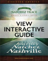 View interactive guide graphic