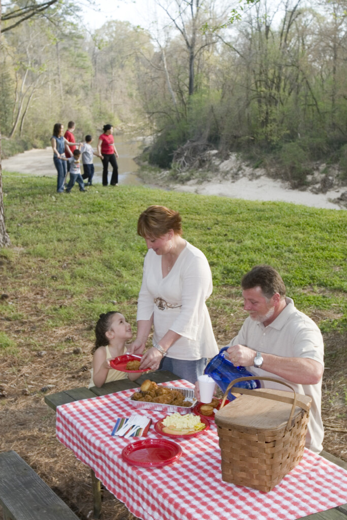 Family picnic at river