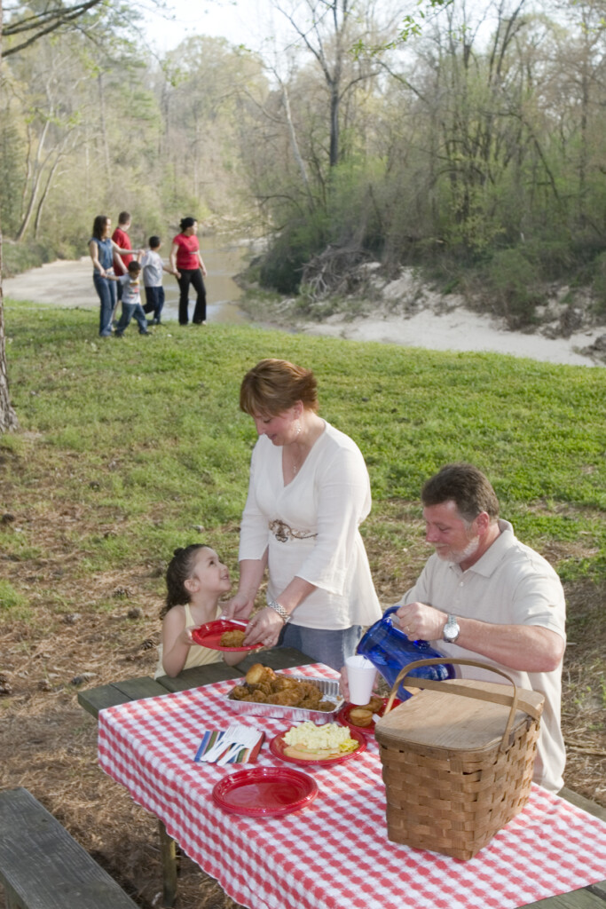 Family picnic at river