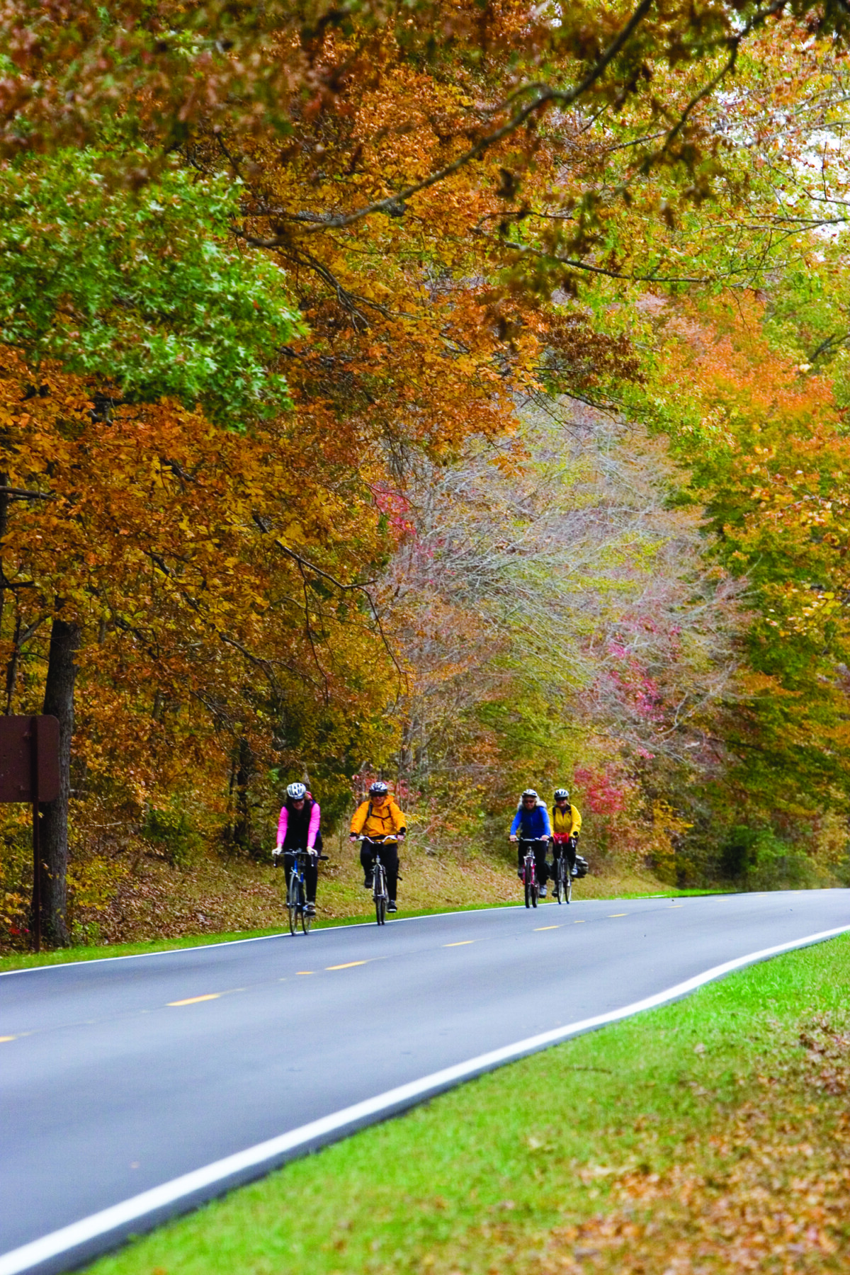 Fall Rides and Fireside Nights: A Motorcyclist’s November Guide ...