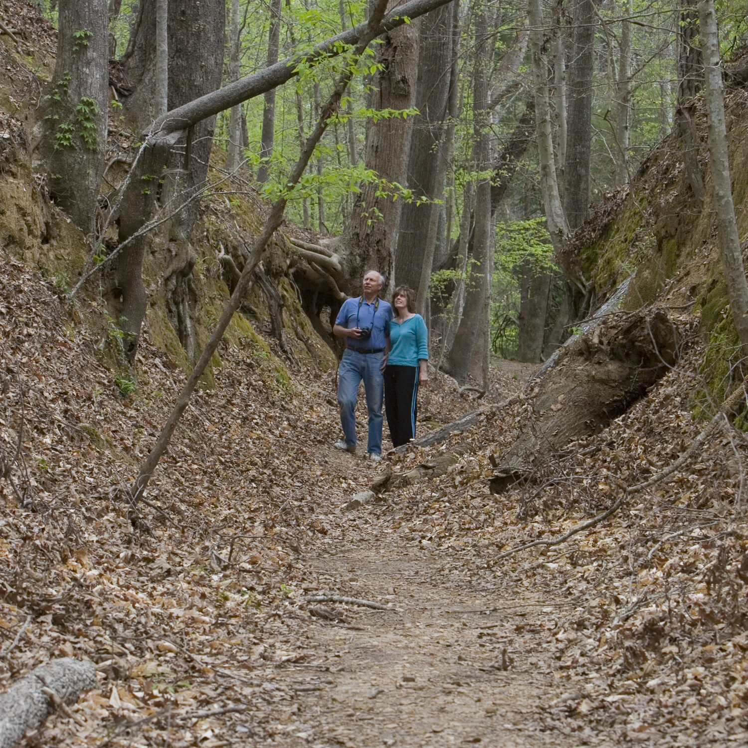 Natchez Trace Parkway