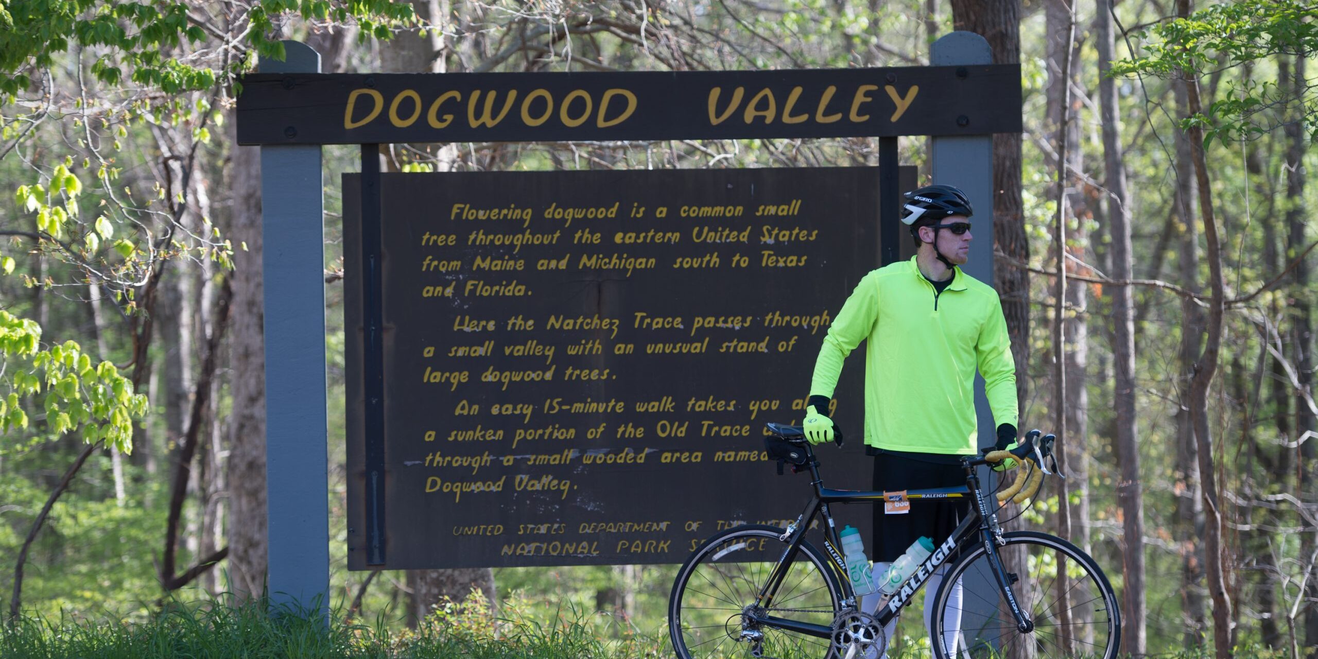 Natchez Trace Parkway Dogwood Valley