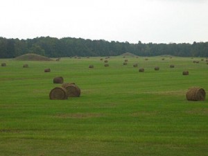 pharrmounds